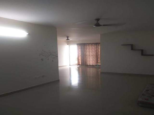  ariston Images for mainOther