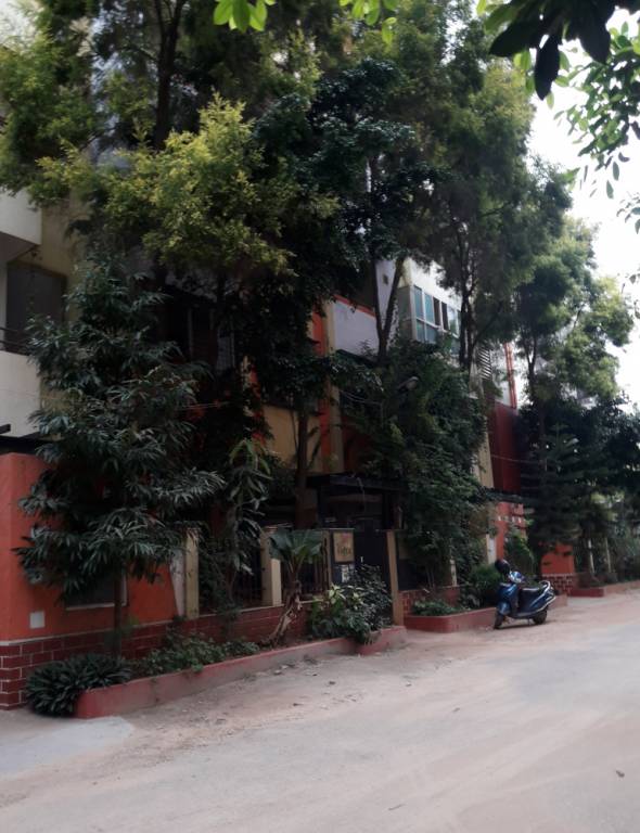  apartments Elevation