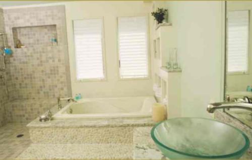  tulip Images for Main Other of Saroj Tulip