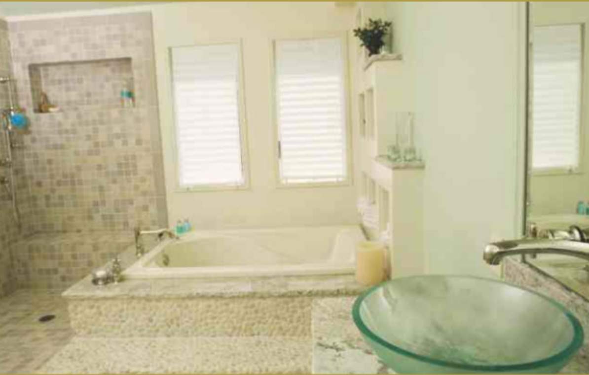  tulip Images for Main Other of Saroj Tulip