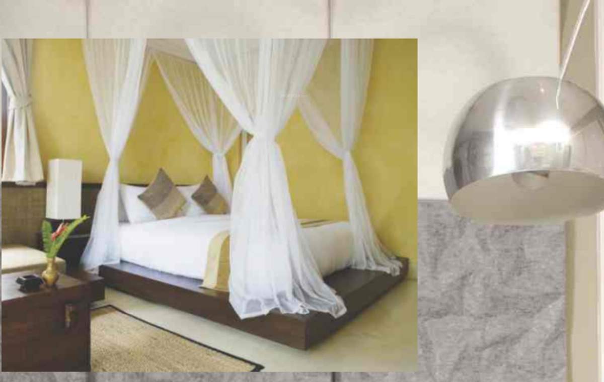  tulip Images for Main Other of Saroj Tulip