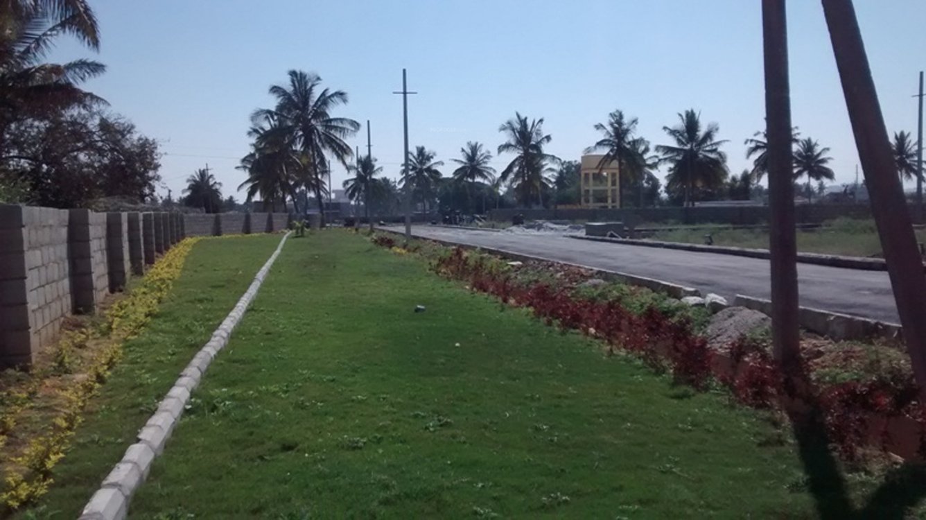 Images for Main Other of Dhio Build Tech Properties Green Mist