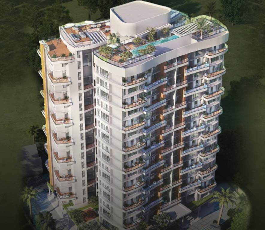  amadore Images for Elevation of Supreme Amadore