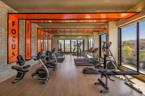 Gymnasium amadore Gymnasium