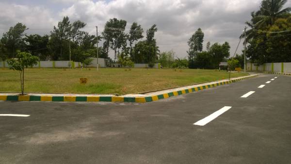 Images for Elevation of Dhio Build Tech Properties Blossom Winds Images for Elevation of Dhio Build Tech Properties Blossom Winds