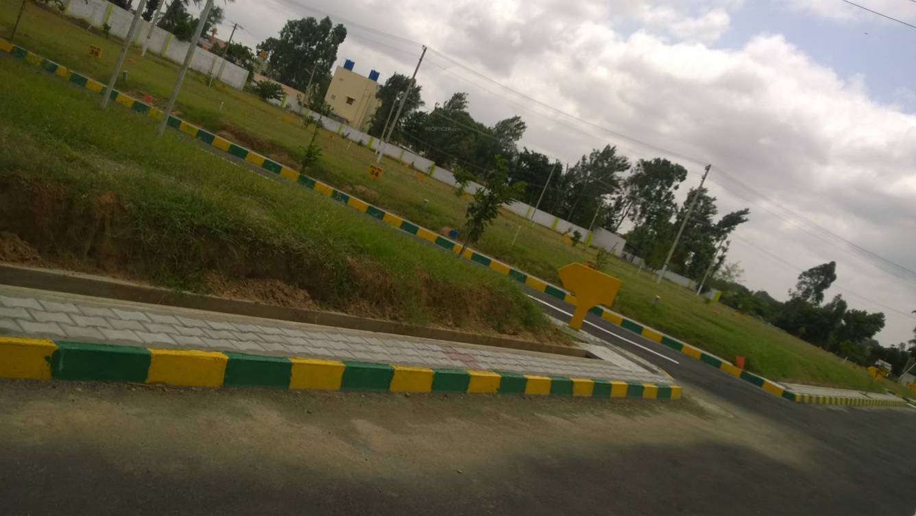 Images for Main Other of Dhio Build Tech Properties Blossom Winds