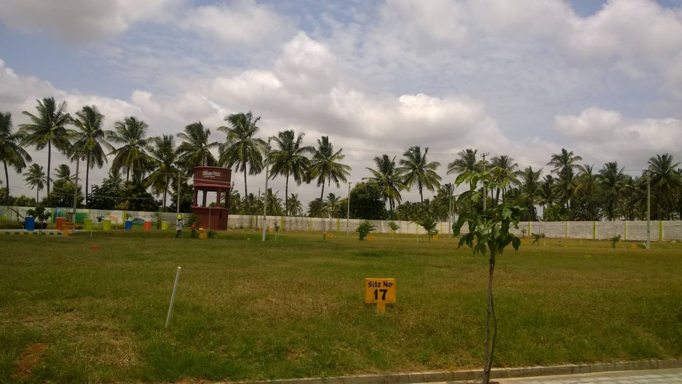 Images for Main Other of Dhio Build Tech Properties Blossom Winds