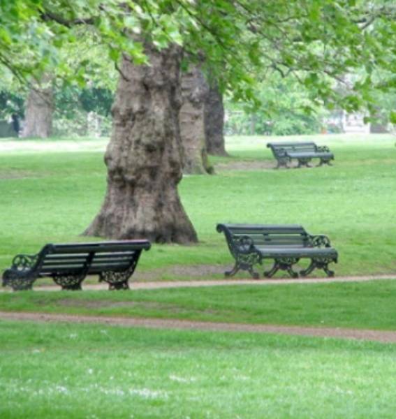 Images for Amenities of Transcity Trupthi