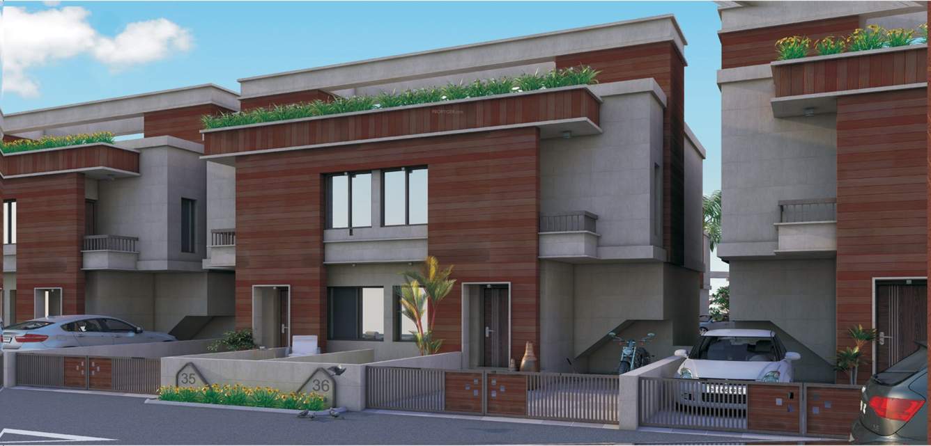  exotica Elevation