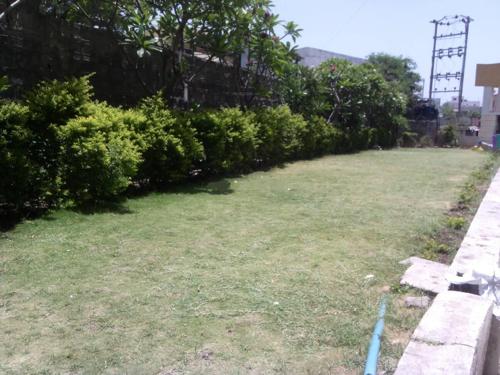 Images for Amenities of Choice Golden City