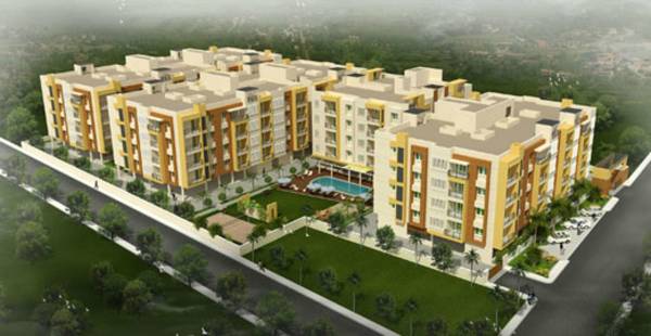 Elevation abc-avenue Elevation