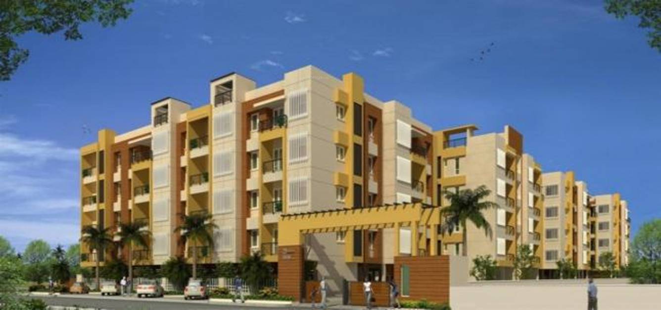 abc avenue Elevation