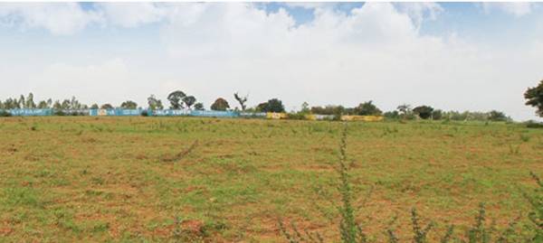 Images for Main Other of M And M Bangalore Krishna Greens Midlake