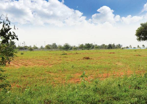 Images for Main Other of M And M Bangalore Krishna Greens Midlake