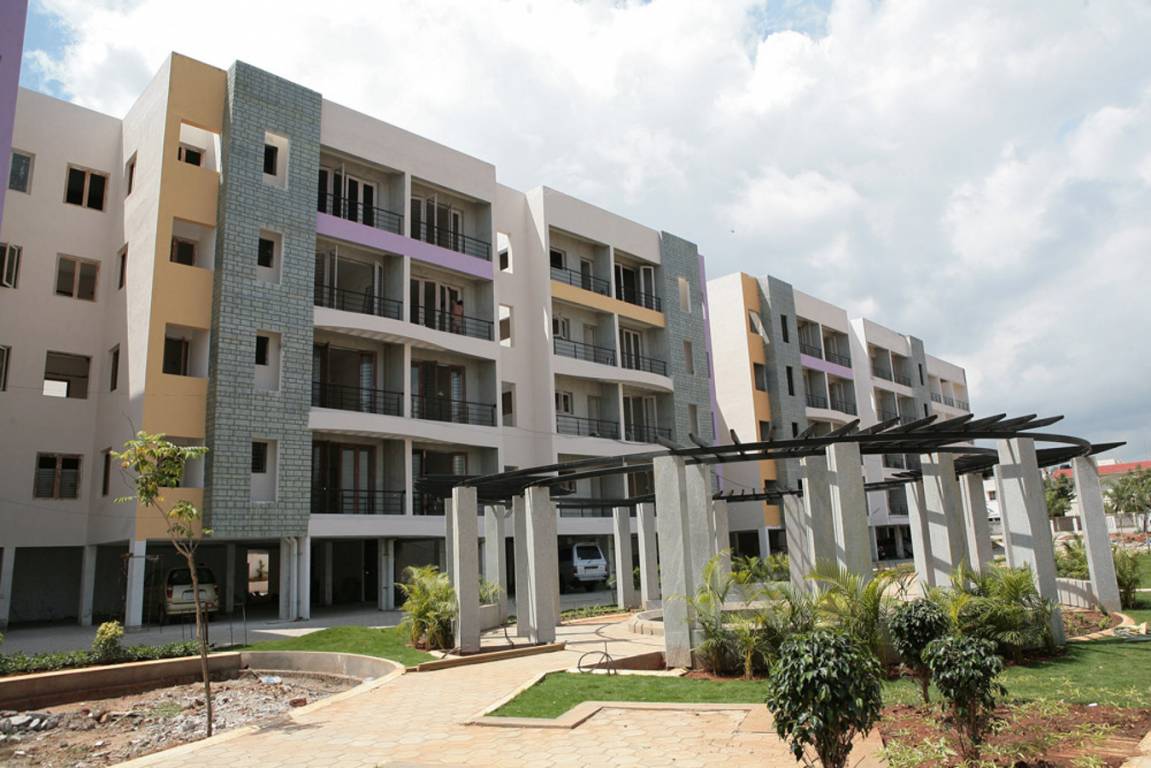 all seaons Elevation