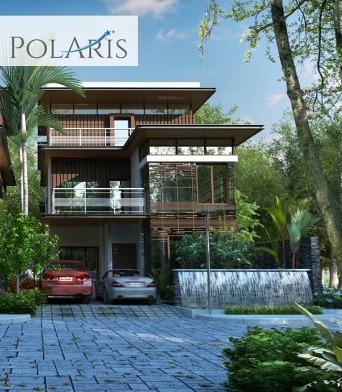 Images for Elevation of Citrus Polaris