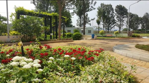 Elevation serene-hills Elevation