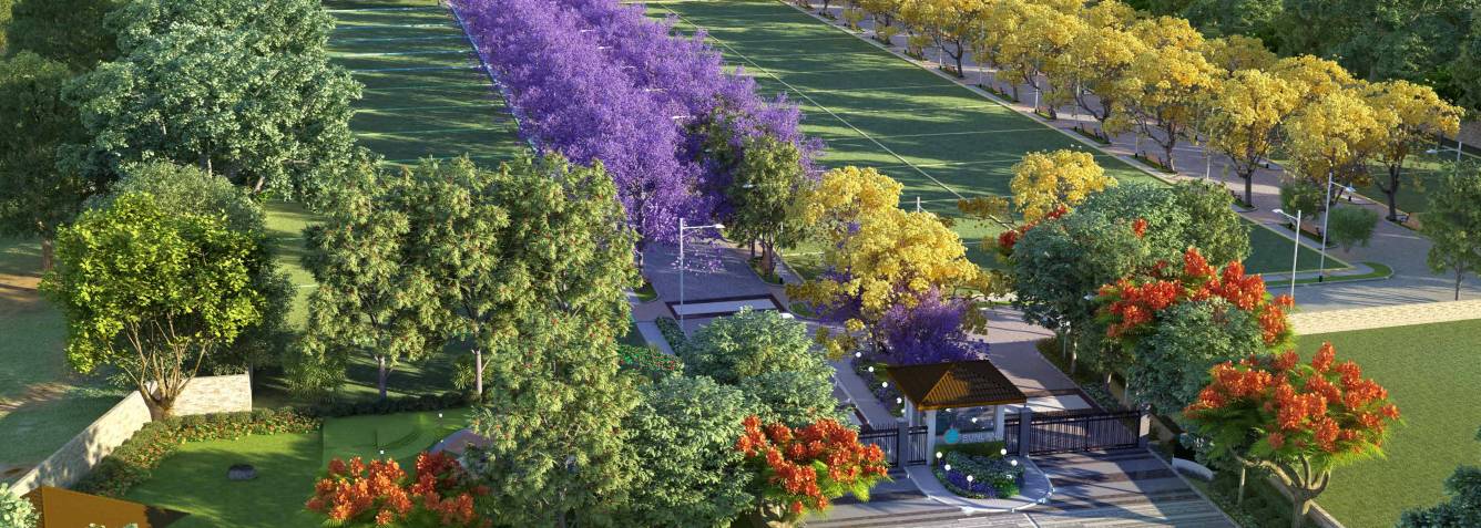 Images for Main Other of Sunland Serene Hills