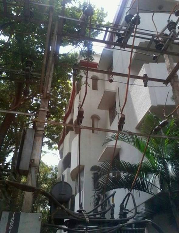 Images for Elevation of Nandi Iris