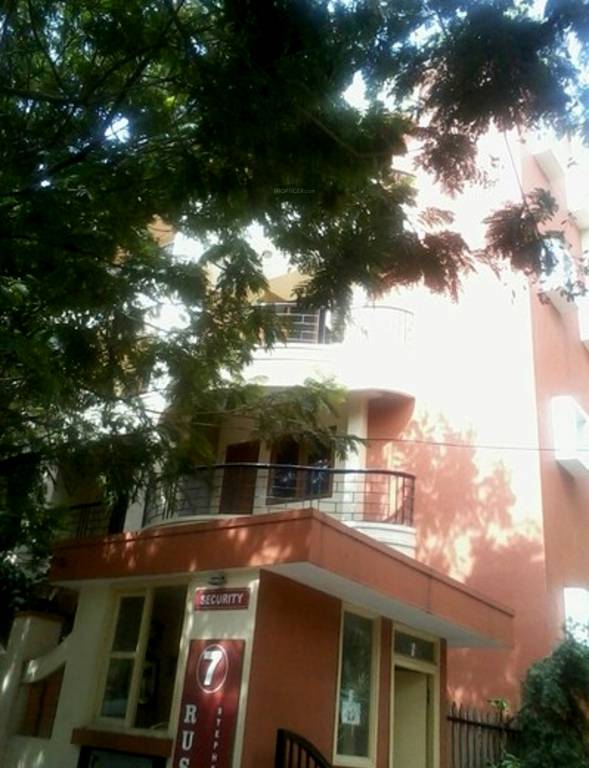 Images for Elevation of VDB Russet