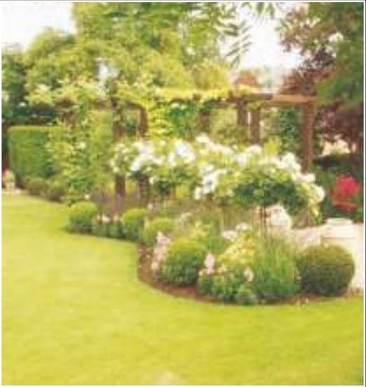 Others society Others