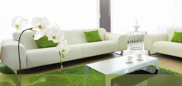 Images for Main Other of VBM Trendz Images for Main Other of VBM Trendz