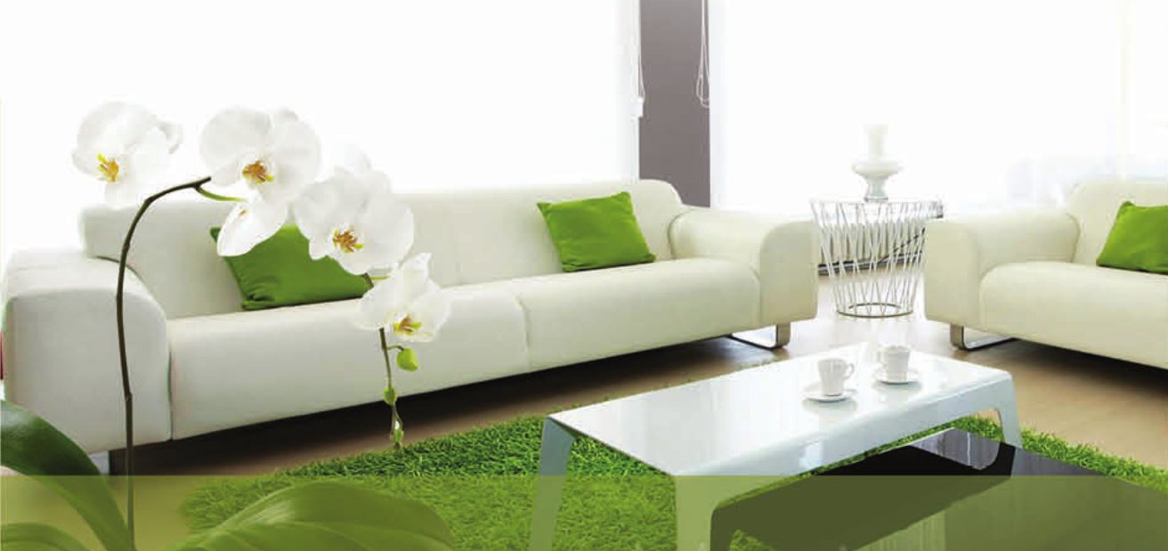 Images for Main Other of VBM Trendz