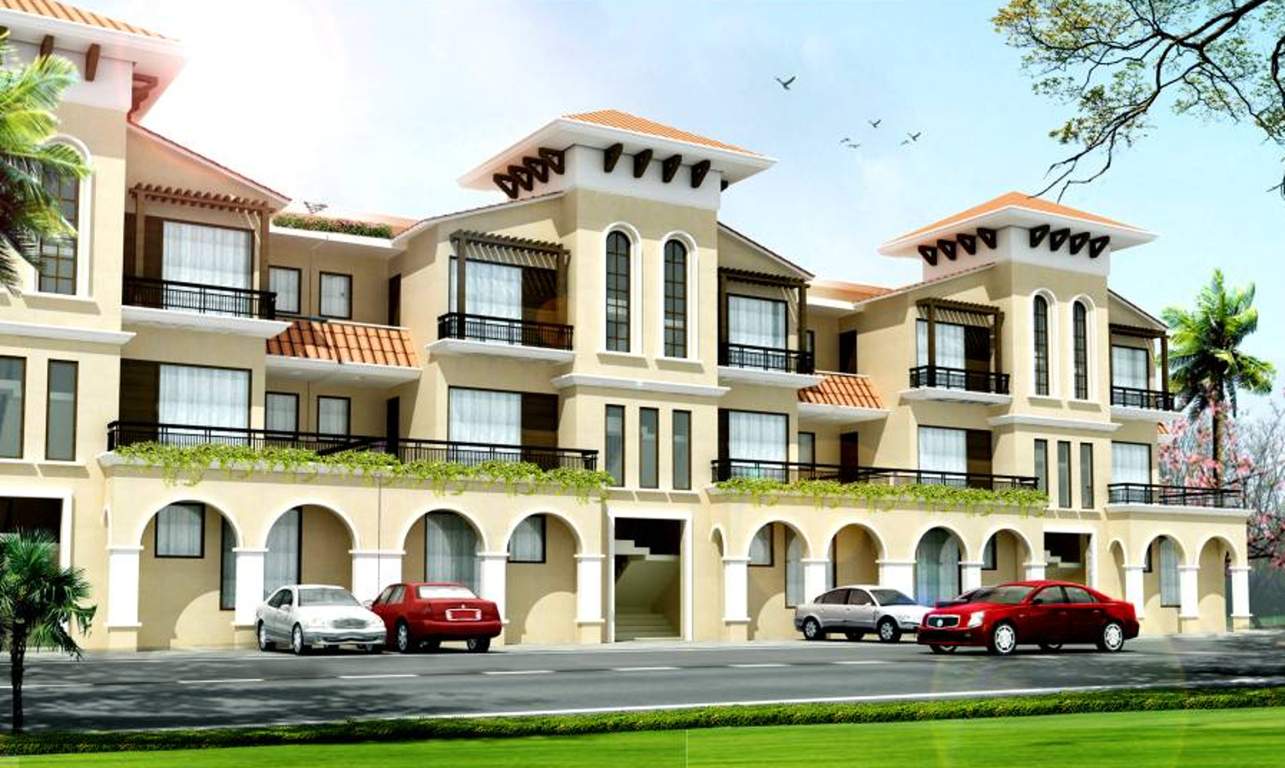  amari greens Images for Elevation of Vision Amari Greens