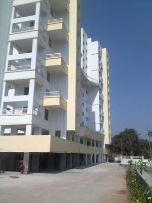 Images for Elevation of Phinix Elina elina Images for Elevation of Phinix Elina