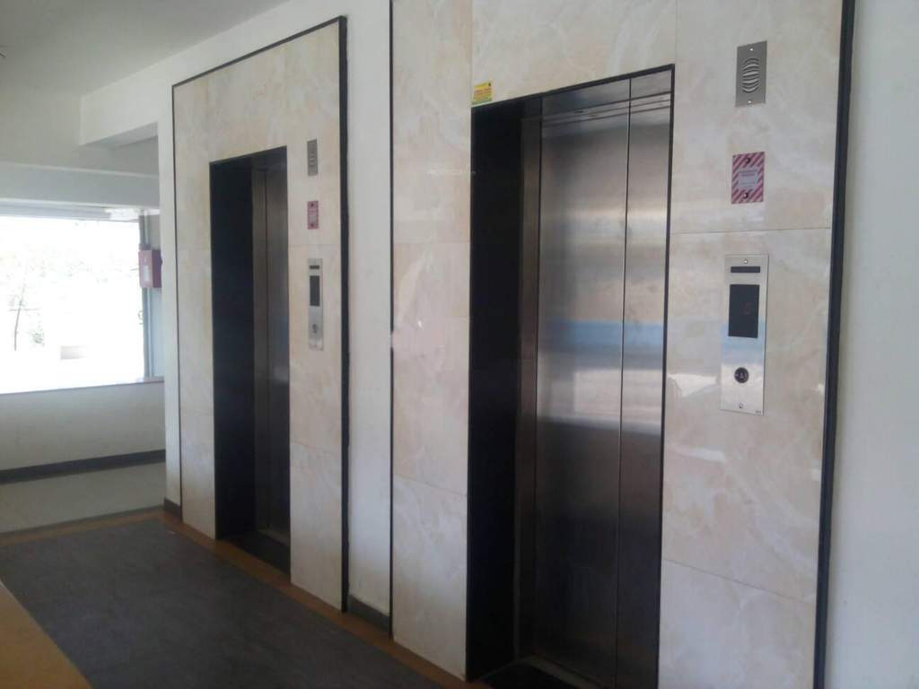 elina Images for Main Other of Phinix Elina