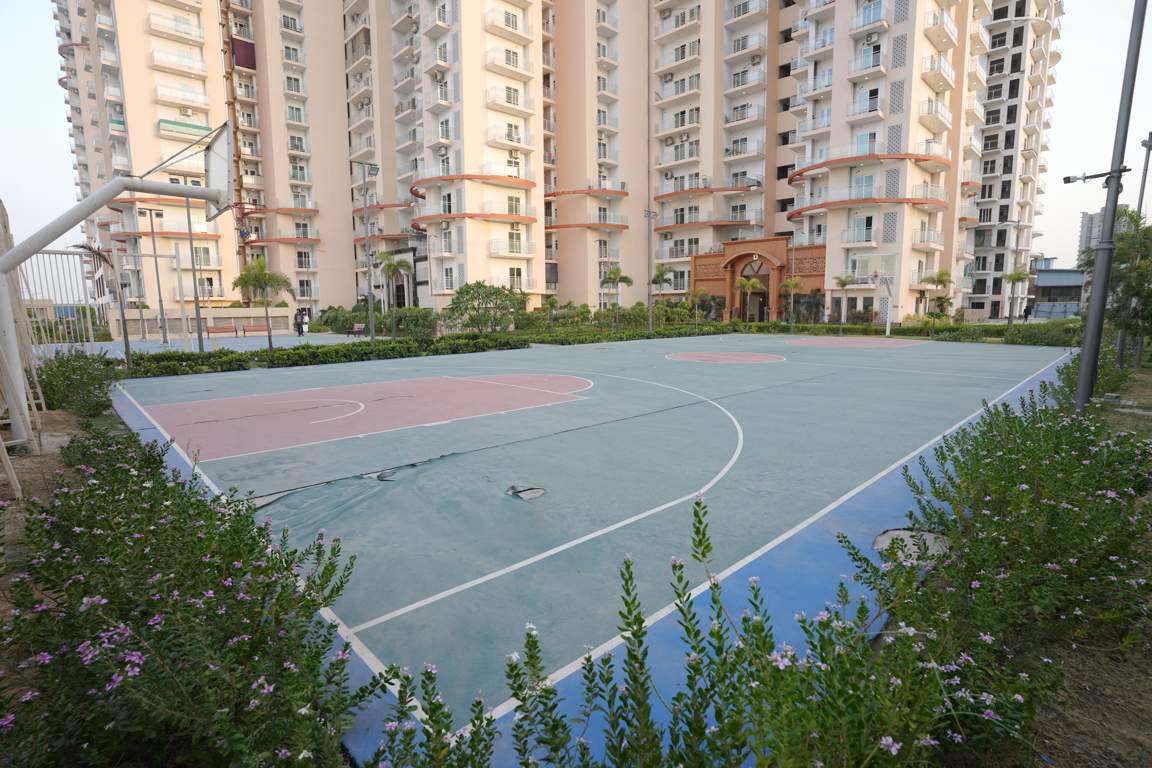 luxuriya avenue Basketball Court