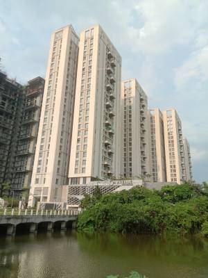 Elevation 5th-avenue Elevation