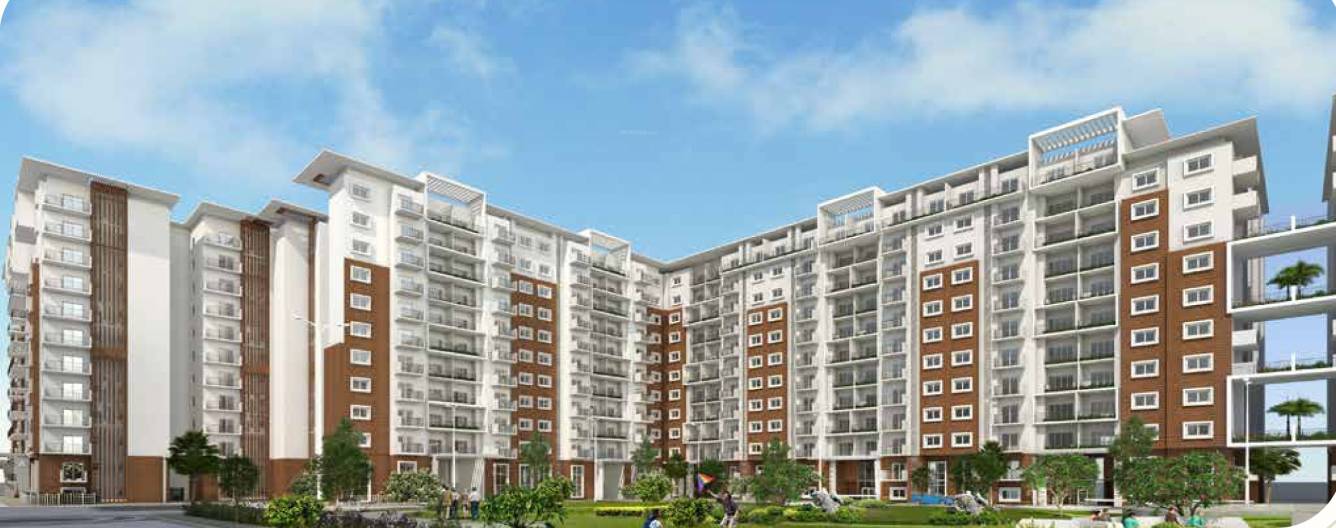 Images for Elevation of Ozone Urbana Avenue