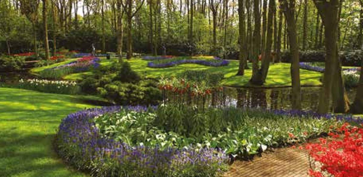 Images for Amenities of Ozone Urbana Avenue