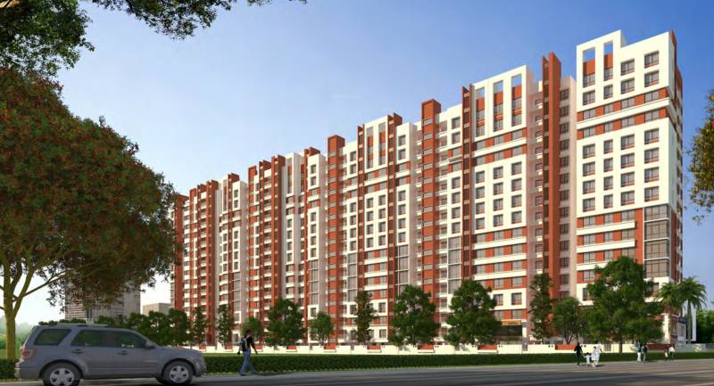  heights Elevation