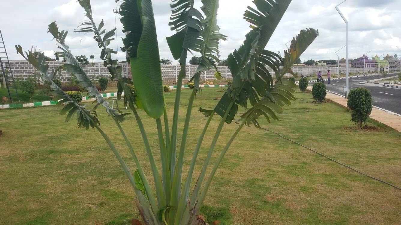 Images for Main Other of Nest Propertie Sri Sadashiva Nagar