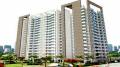 Kingswood Infrastructure Pvt Ltd Court