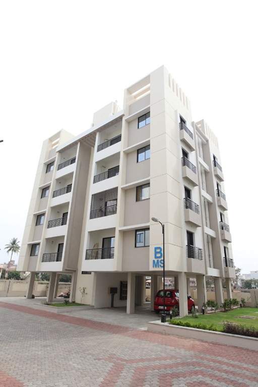 Images for Elevation of Vaibhav Moonstone