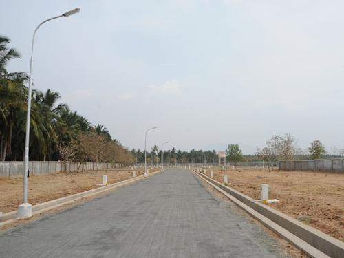 Images for Main Other of Globuse Woodsberry Park Images for Main Other of Globuse Woodsberry Park