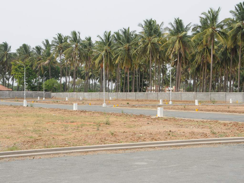 Images for Main Other of Globuse Woodsberry Park