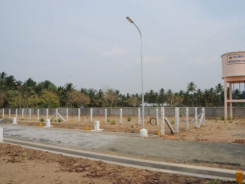 Images for Main Other of Globuse Woodsberry Park