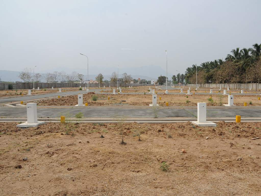 Images for Main Other of Globuse Woodsberry Park