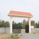 Images for Main Other of Globuse Woodsberry Park