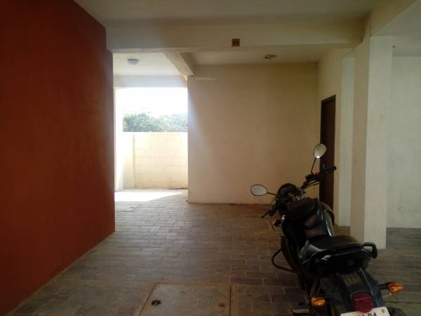 Car Parking gardens Car Parking