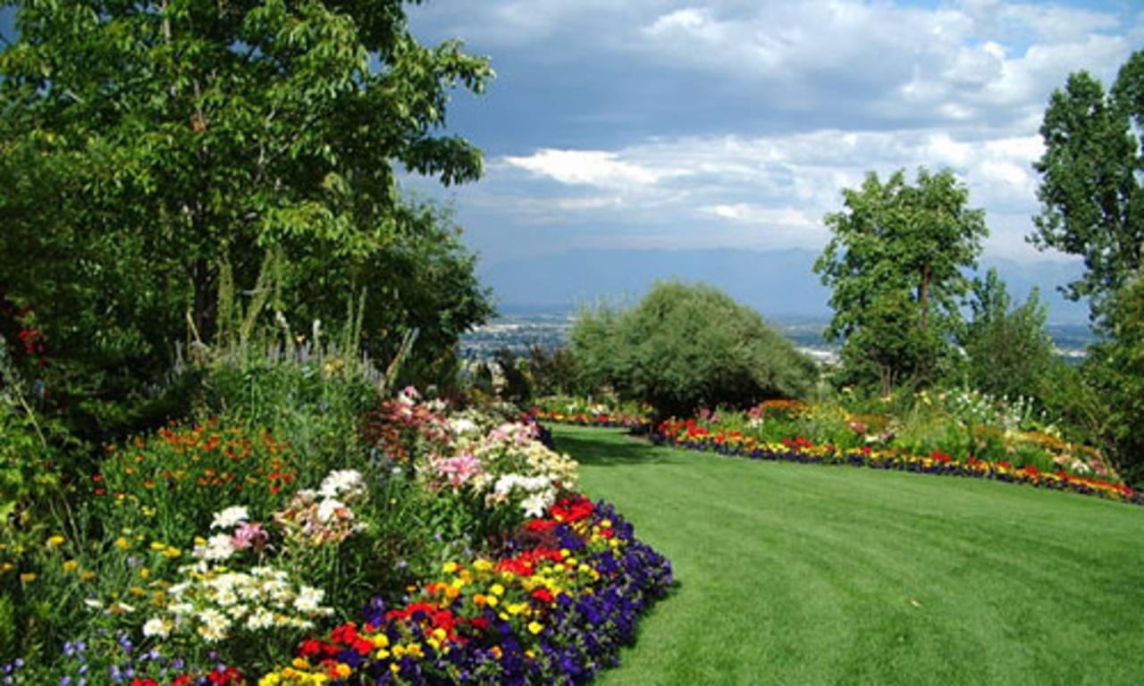  eden palette Landscaped Gardens