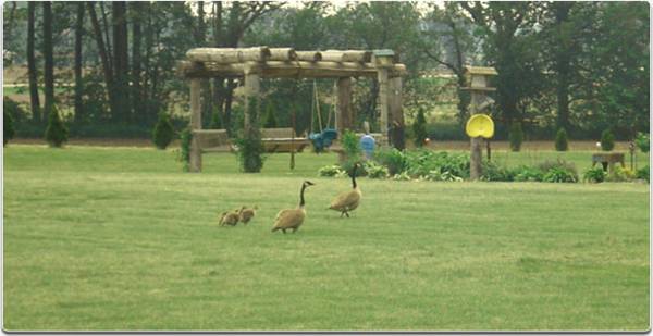 Images for Main Other of Brahmecha Laxmi Elite