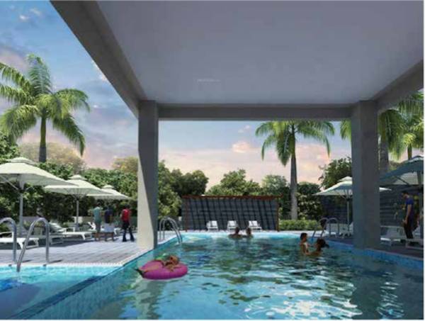  joy-nest Swimming Pool