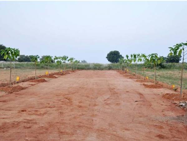 Images for Main Other of Sai Nikita Estates Pvt Ltd Brundavanam IV Images for Main Other of Sai Nikita Estates Pvt Ltd Brundavanam IV