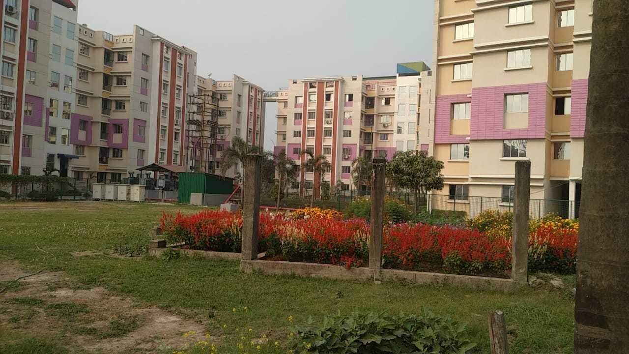 aqua view Landscape Garden and Tree Planting