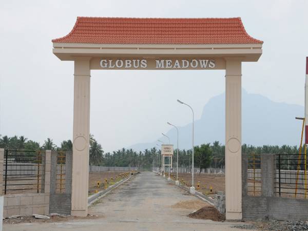 Images for Main Other of Globuse Meadows Images for Main Other of Globuse Meadows